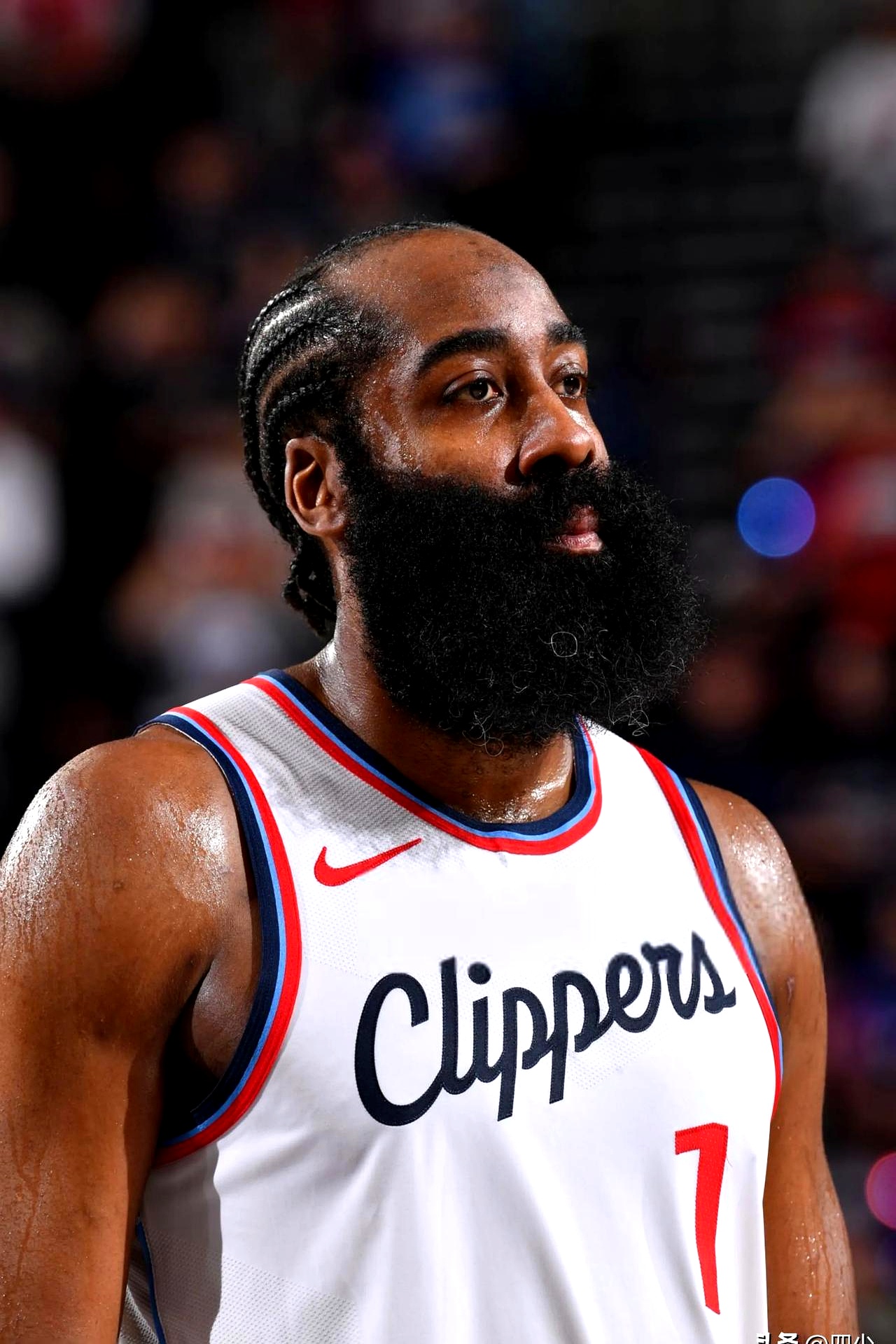 开云体育下载网址-哈登新星重返赛场表现突出，加拿大队前途光明！赛场气氛高涨